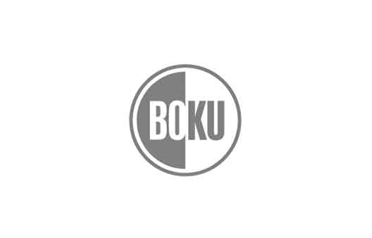 Logo Boku grau