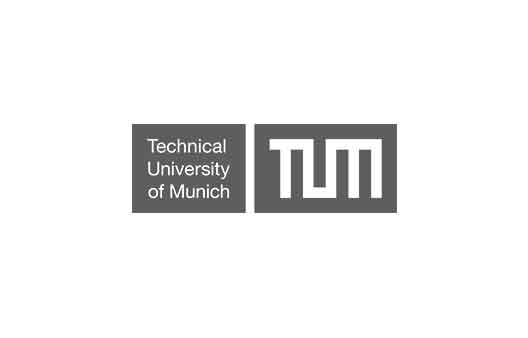 Logo Technische Universität München grau